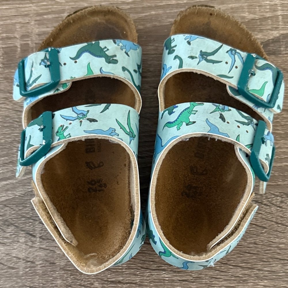 Birkenstock Kids Dinosaur Print Sandals